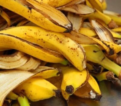 Abono de Platano para Orquideas