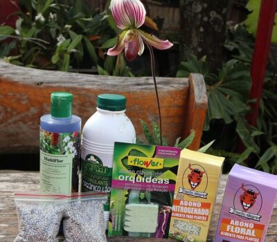 Abono liquido para orquideas