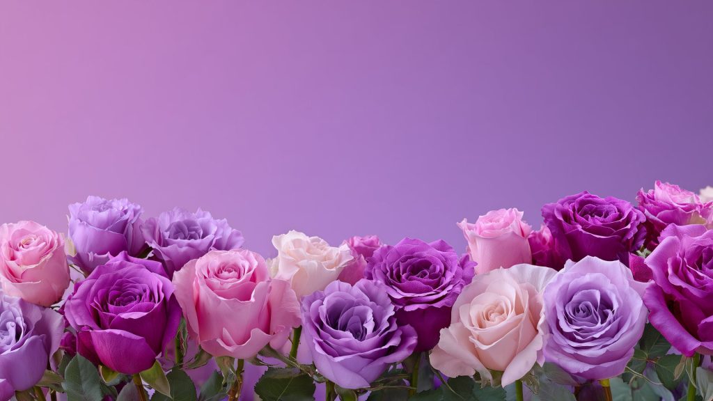 Rosas y su simbolismo cultural