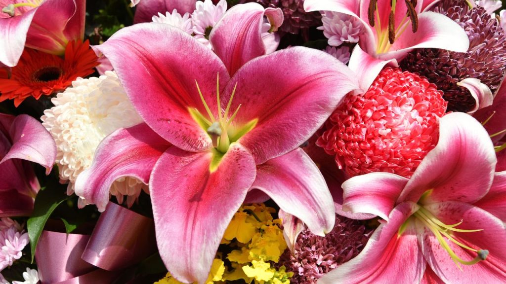 flores lirio