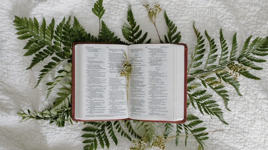 Significado del girasol en la biblia